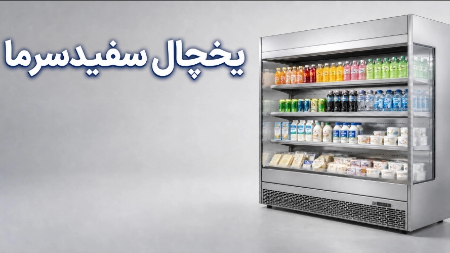 standing store refrigerator; Buying guide, types and uses