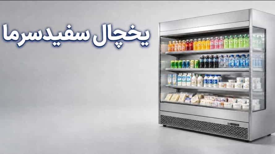 standing store refrigerator; Buying guide, types and uses