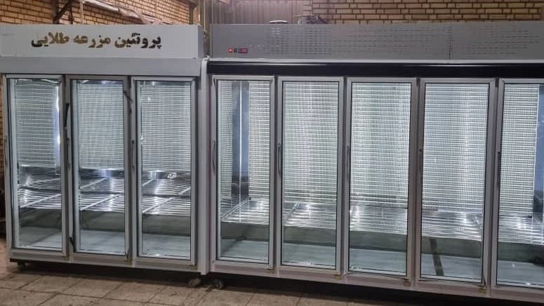 یخچال قصابی